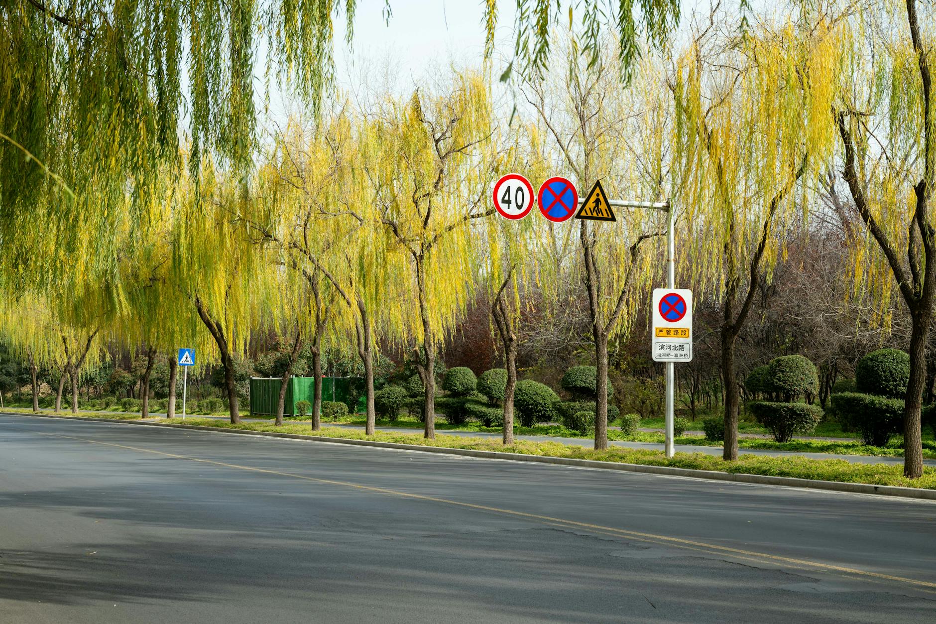 Ulica wśród drzew z licznymi znakami drogowymi w chińskim mieście