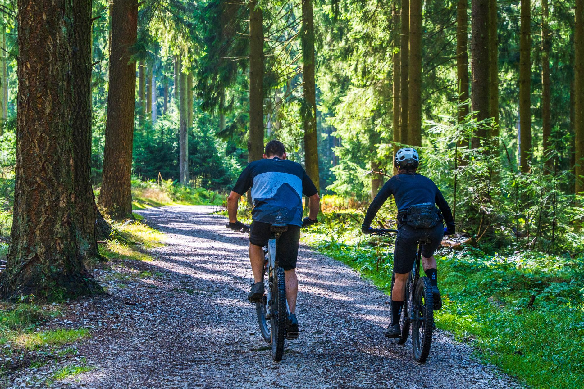 Jak bezpiecznie przyspieszyć metabolizm i spalać więcej kalorii na co dzień Dwóch rowerzystów na górskich rowerach jedzie leśną ścieżką latem