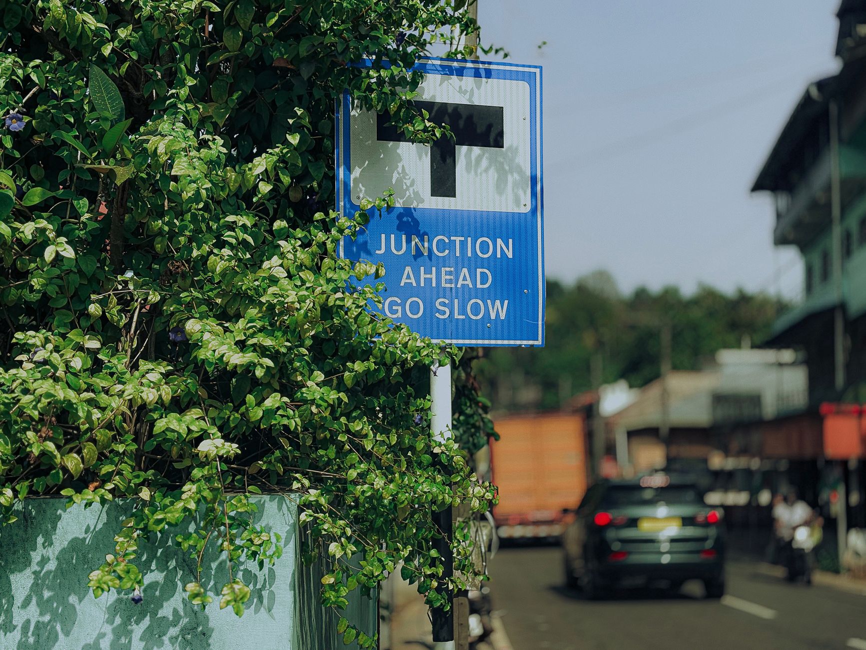 Dlaczego na tablicach pojawia się „centrum” i „port”? Sens punktów kierunkowych na węzłach Znak drogowy skrzyżowanie typu T otoczony zielenią w Indiach